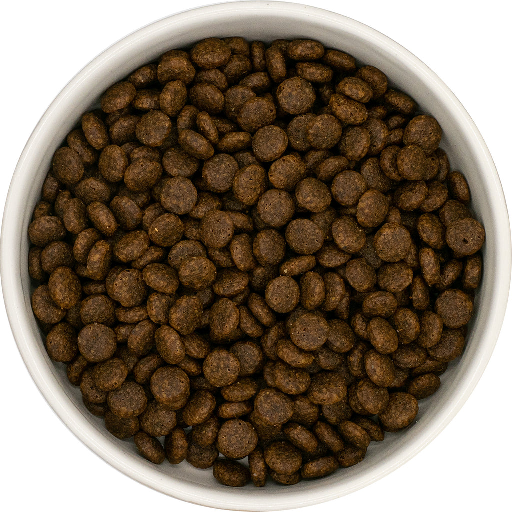 Croquettes premium à la dinde pour chat, riches en protéines animales. Une recette sans céréales, complète et équilibrée, sélectionnée avec soin.