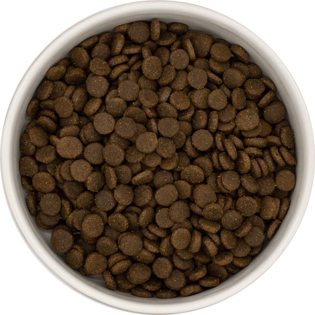 Croquettes au saumon et au poulet pour chat, élaborées avec 60 % de poisson et de poulet. Une recette complète et équilibrée pour le quotidien.